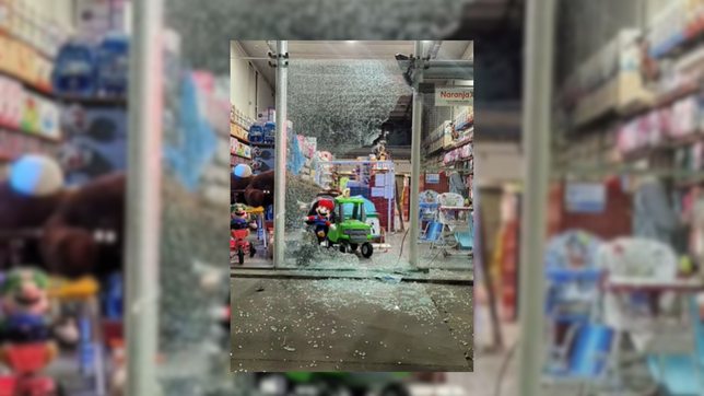 rompieron la vidriera de una jugueteria en la plata y se llevaron dinero y mercaderia