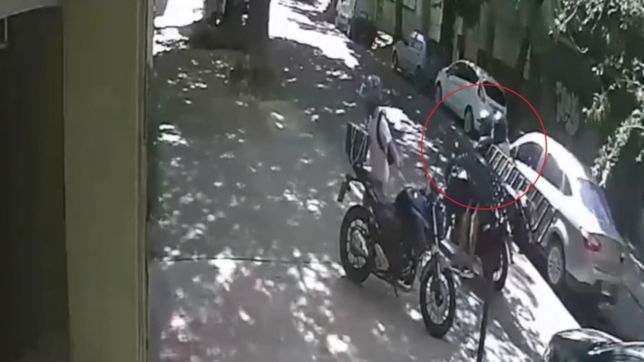 video: terror en la plata tras un nuevo ataque motochorro a plena luz del dia