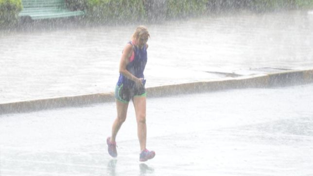 barrio por barrio, ¿cuanto llovio durante la tormenta de santa rosa en la plata?