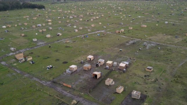 un informe revelo que en la plata mas de 200.000 personas viven en asentamientos