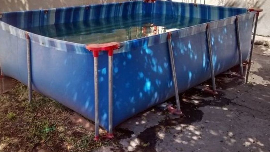 Una nena de 3 años murió ahogada en la pileta por intentar rescatar a su gato