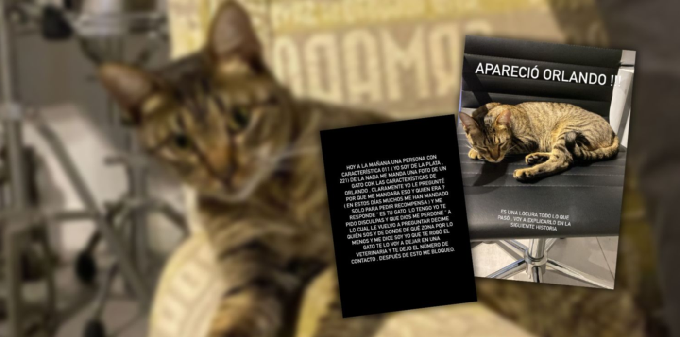 1690130450452.jpg?x=8&y=0&width=1484&height=742&rotate=0&scaleX=1&scaleY=1&ow=1500&oh=742&&cw=1920&ch=950