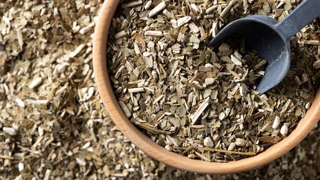 Yerba mate