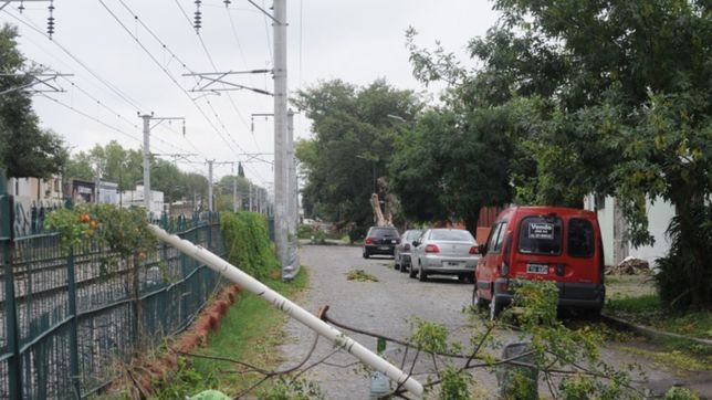autos destrozados, cables, postes y arboles caidos: las fotos del temporal en la plata