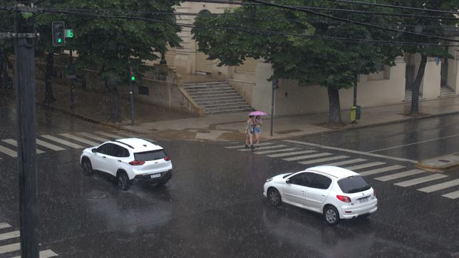 tras el alerta amarillo por tormentas, ¿como sigue el clima en la plata?