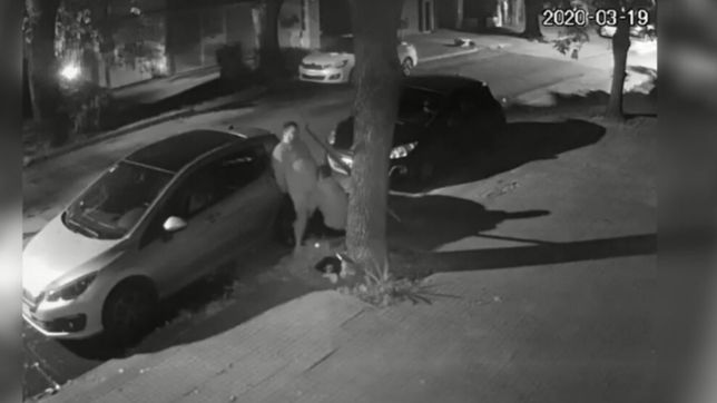video: cuando el presidente decretaba la cuarentena, aprovecharon y salieron a robar ruedas
