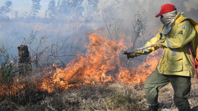 tras los incendios en el parque pereyra, denunciaran a quienes quemen basura en el predio
