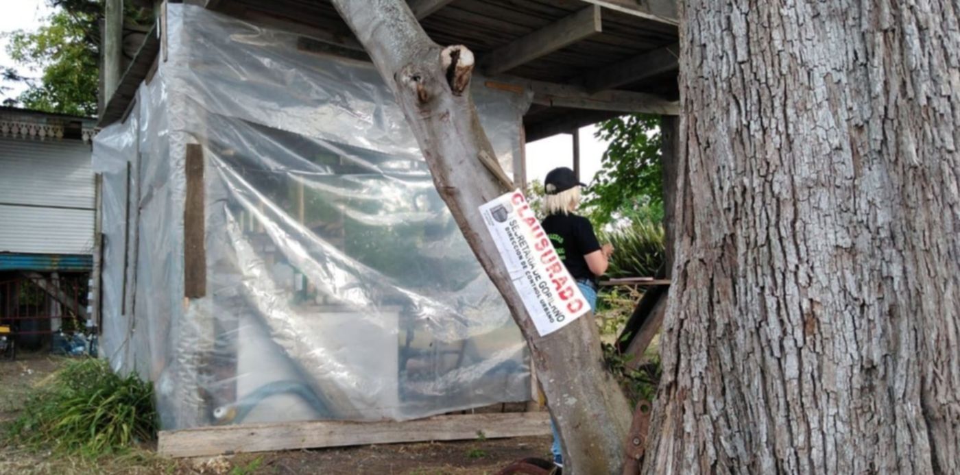 1575810648168.jpeg?x=13&y=6&height=623&rotate=0&scaleY=1&width=1246&scaleX=1&ow=1280&oh=640&&cw=1920&ch=950