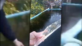 el video en una pileta de los hornos que amanecio totalmente congelada