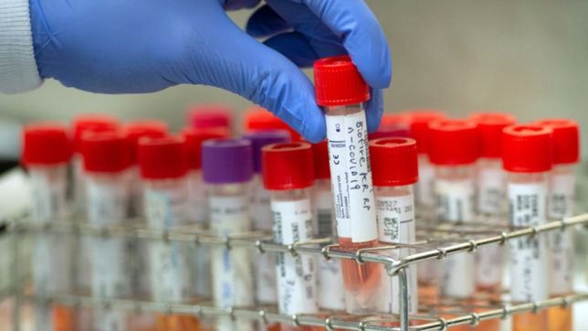 el gobierno cree que aumentaran los casos de covid-19 pero descarta una ola de contagios