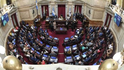 Semana clave por la nueva Ley de Alquileres: comienza el debate en el Senado