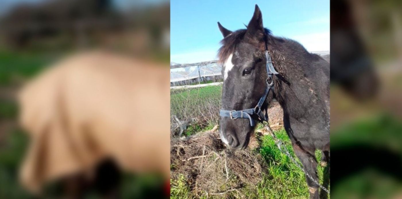 1593809352349.jpg?x=12&y=0&width=1477&height=738&rotate=0&scaleX=1&scaleY=1&ow=1500&oh=742&&cw=1920&ch=950