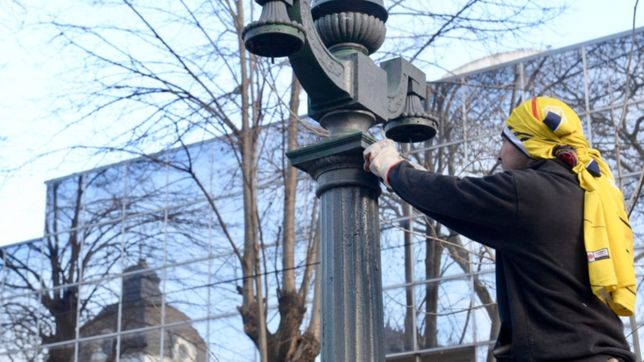 canteras, plantines y luminaria: arranco la puesta a punto de la plata soho