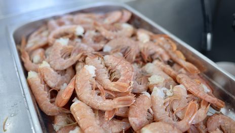 Con una nueva pescadería, el Mercado Bonaerense de La Plata renovó ofertas y ofrece descuentos con Cuenta DNI