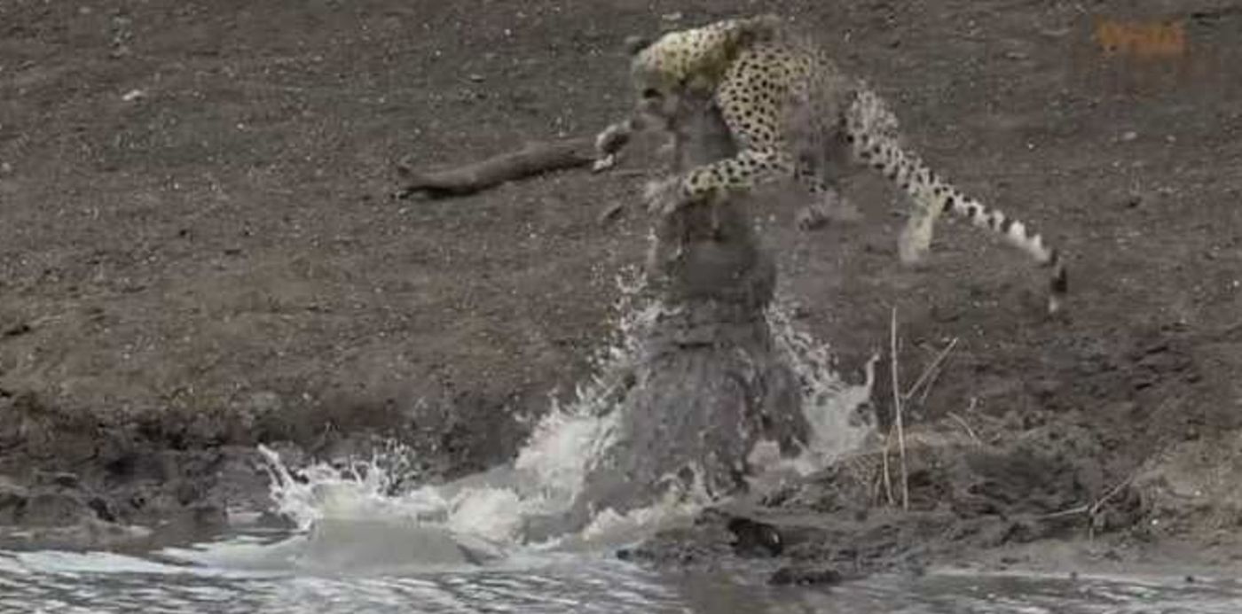 1607951665948.jpg?x=7&y=8&width=677&height=338&rotate=0&scaleX=1&scaleY=1&ow=720&oh=401&&cw=1920&ch=950