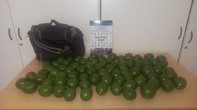 cayeron tras robar mas de $100.000 en paltas de un hotel de la plata