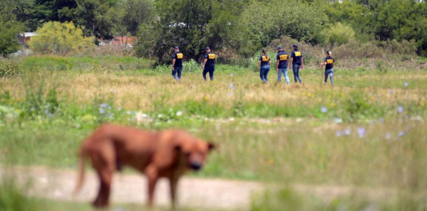 1578343589540.jpg?x=5&y=178&width=1490&height=745&rotate=0&scaleX=1&scaleY=1&ow=1500&oh=1009&&cw=1920&ch=950