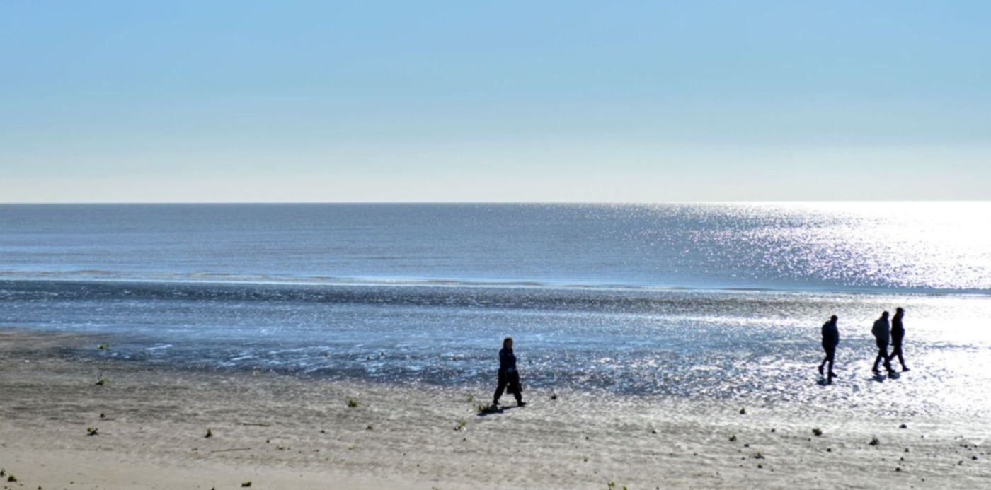 1560958685957.jpg?x=9&y=211&width=1482&height=740&rotate=0&scaleX=1&scaleY=1&ow=1500&oh=982&&cw=1920&ch=950