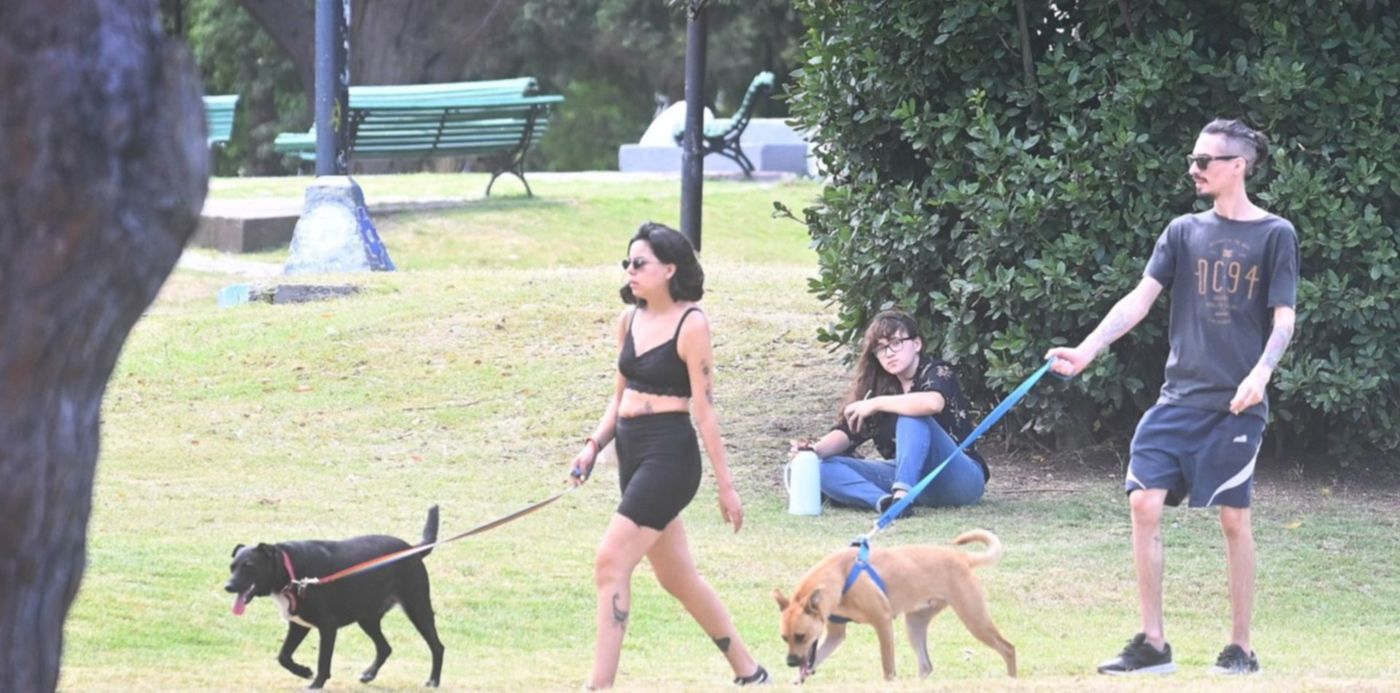 1640620295408.jpg?x=19&y=175&width=1475&height=737&rotate=0&scaleX=1&scaleY=1&ow=1500&oh=1004&&cw=1920&ch=950