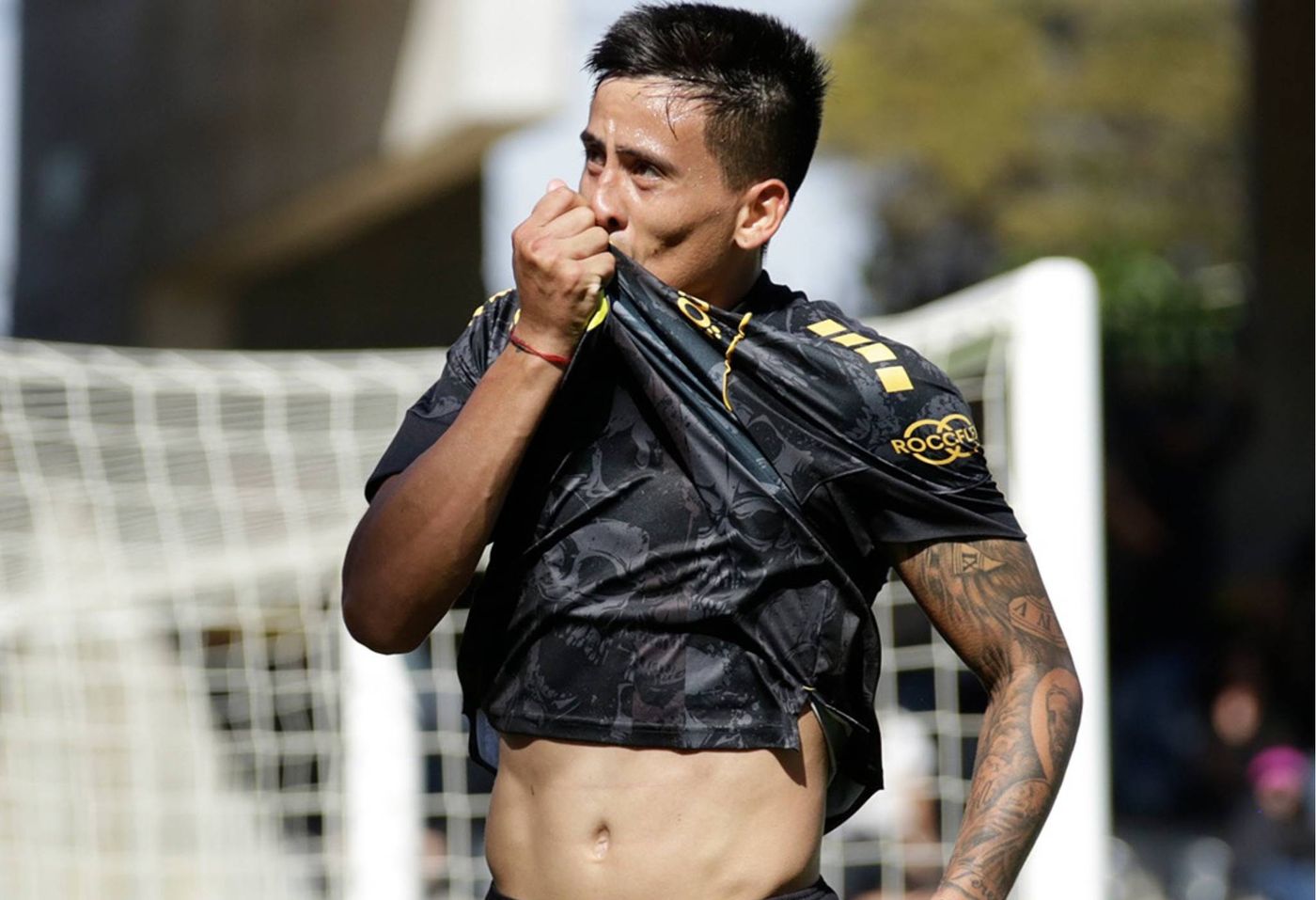 Matias Palavecino.jpg