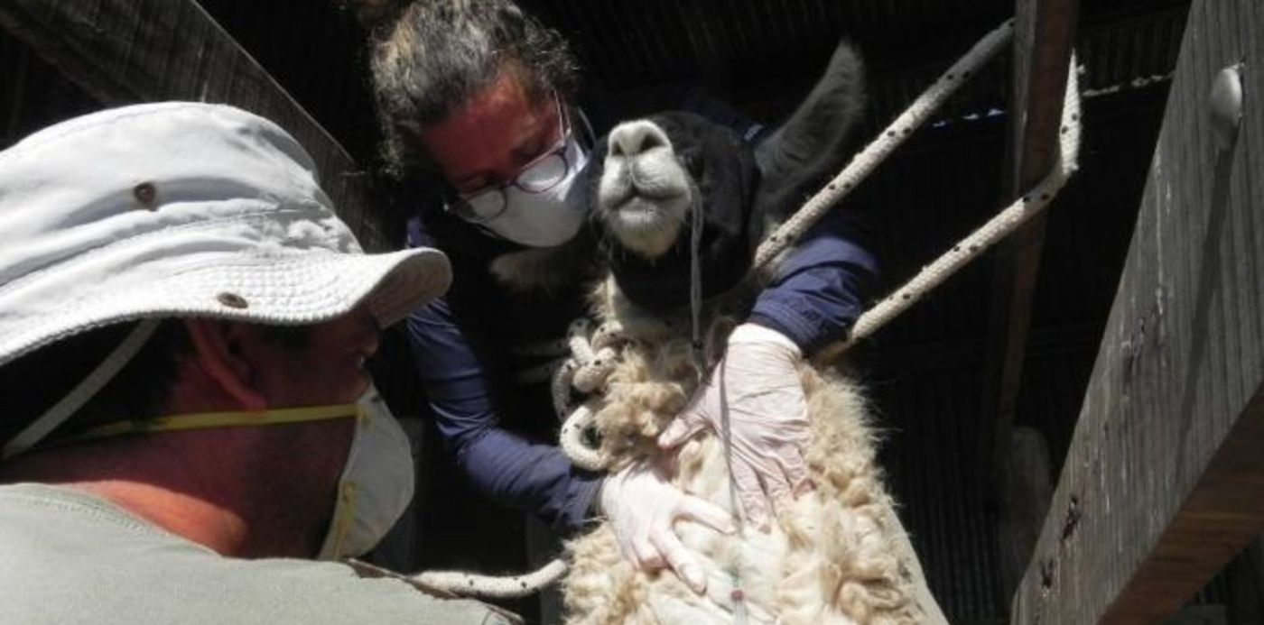 1603139412815.jpg?x=2&y=24&width=693&height=346&rotate=0&scaleX=1&scaleY=1&ow=696&oh=522&&cw=1920&ch=950