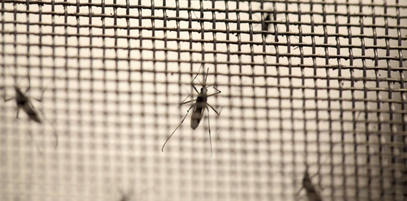 1680863891426.jpg?x= 25&y=169&width=1543&height=771&rotate=0&scaleX=1&scaleY=1&ow=1500&oh=1027&&cw=1920&ch=950