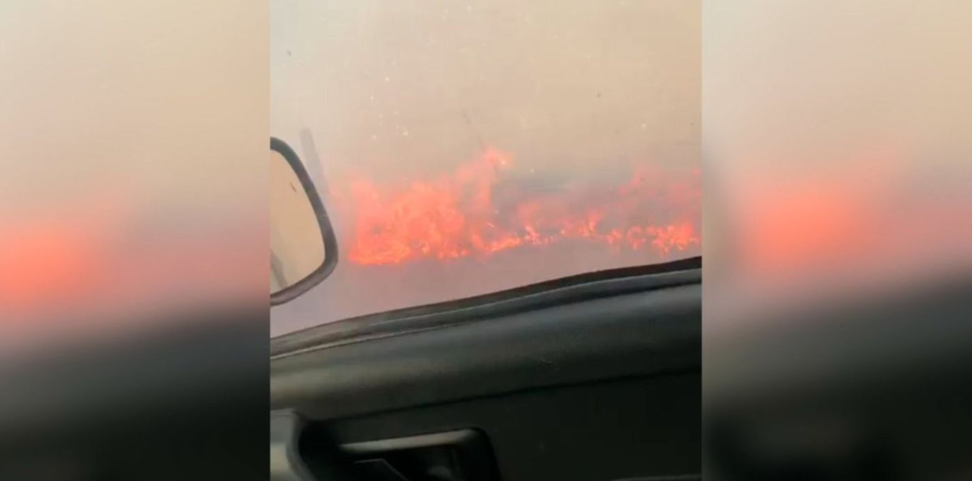 1642018549952.jpg?x=20&y=5&width=1460&height=730&rotate=0&scaleX=1&scaleY=1&ow=1500&oh=742&&cw=1920&ch=950