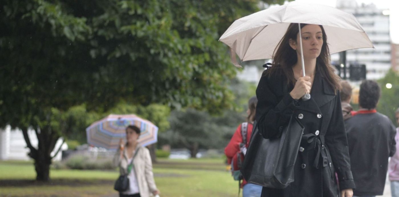 1545095008316.jpg?rotate=0&scaleX=1&scaleY=1&ow=1500&y=24&height=742&oh=909&x=11&width=1485&&cw=1920&ch=950