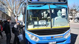 ¿a que se debe el nuevo paro de micros y por que no afecta a la plata, berisso y ensenada? ¿a que se debe el nuevo paro de micros y por que no afecta a la plata, berisso y ensenada?