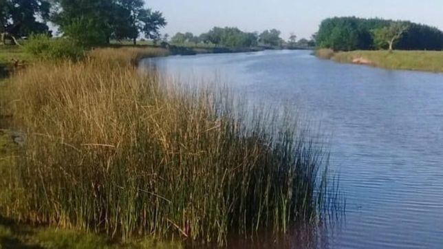 buscan proteger el unico arroyo de agua dulce no contaminado de la plata