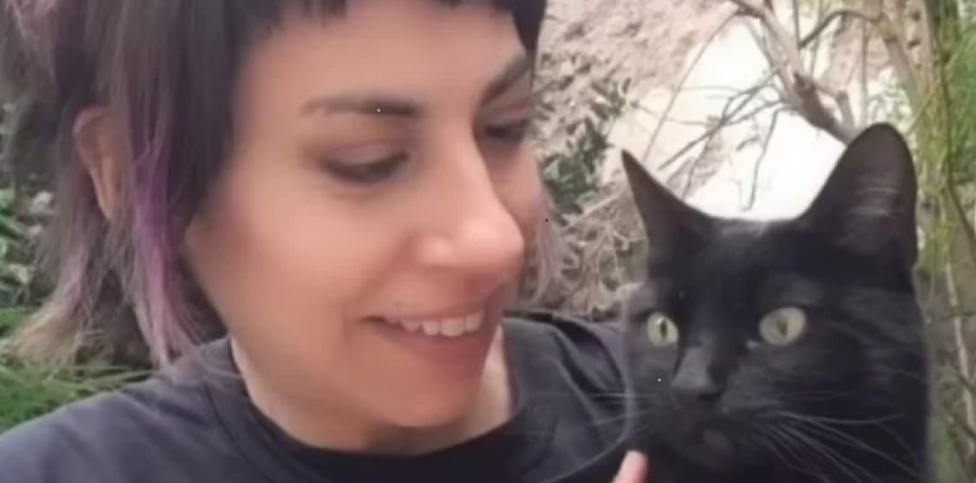 Gata perdida- recompensa