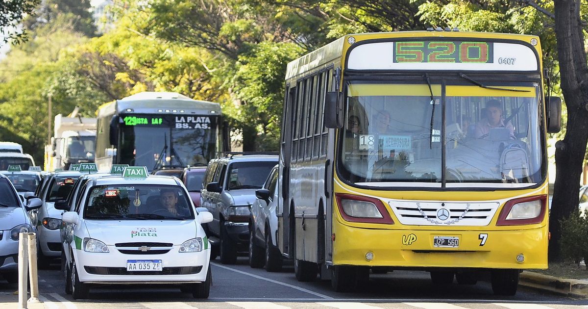 Confirman el aumento de micros en La Plata para mayo: las nuevas ...