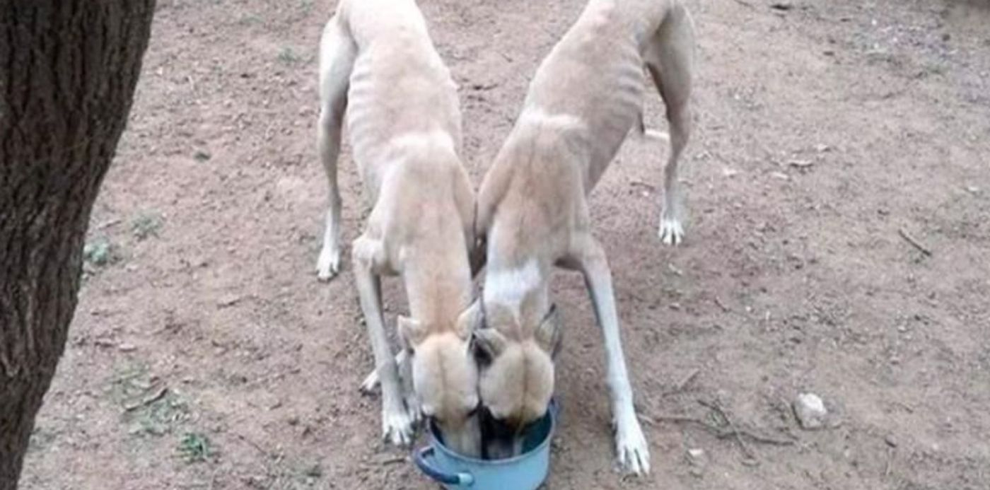 1658766757512.jpg?x=9&y=46&width=776&height=388&rotate=0&scaleX=1&scaleY=1&ow=791&oh=445&&cw=1920&ch=950