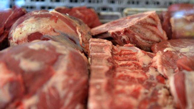 arranco el paro del campo por la suspension de la exportacion de carne