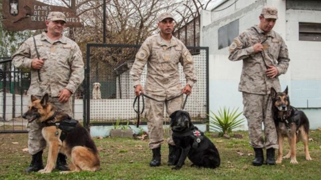 pasaron a retiro a tres perros penitenciarios con un emocionante homenaje en la plata