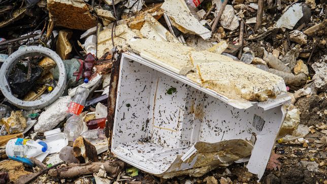 una ong denuncia la alarmante contaminacion del arroyo el gato