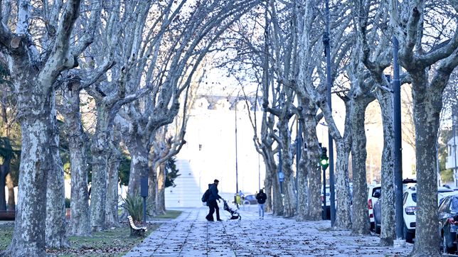 vuelve el frio a la plata y hay alerta naranja por nevadas en argentina