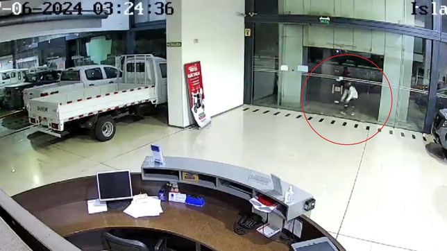 atacaron a piedrazos el frente de una concesionaria de la plata y quedaron filmados