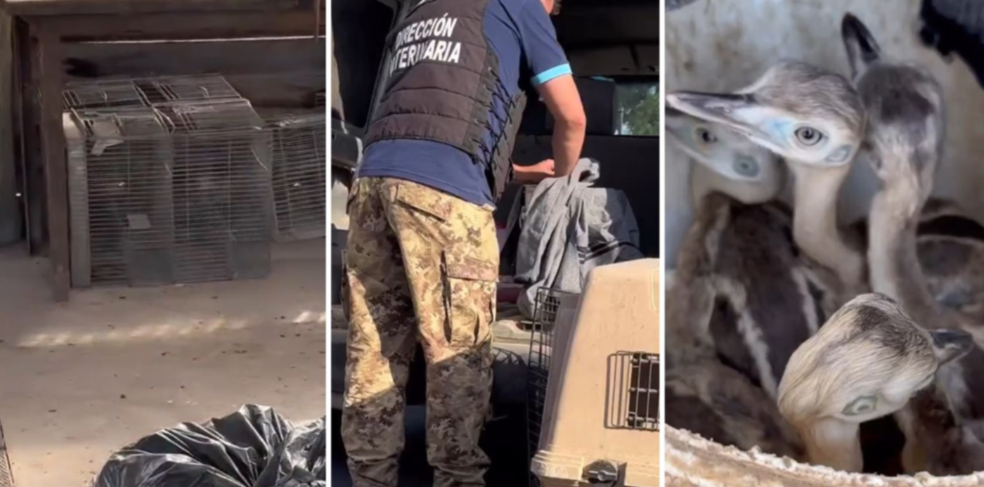 1669511199457.jpg?x=3&y=0&width=1484&height=742&rotate=0&scaleX=1&scaleY=1&ow=1500&oh=742&&cw=1920&ch=950