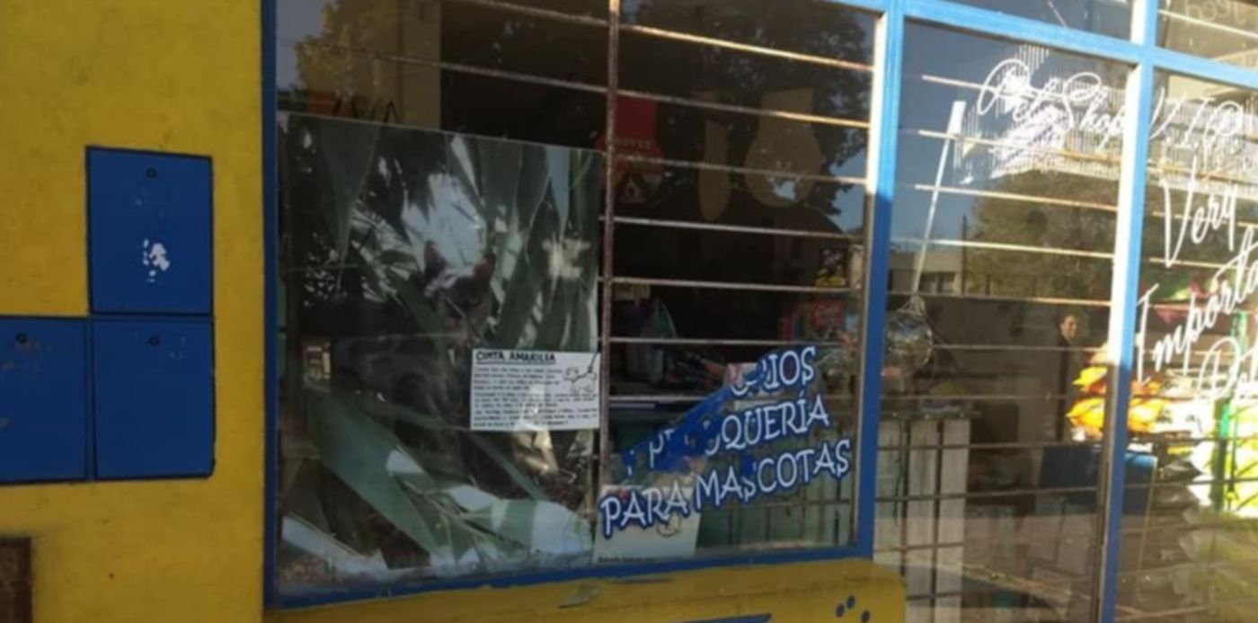 1555526442233.jpg?y=46&rotate=0&scaleX=1&x=2&width=955&height=478&scaleY=1&ow=960&oh=720&&cw=1920&ch=950