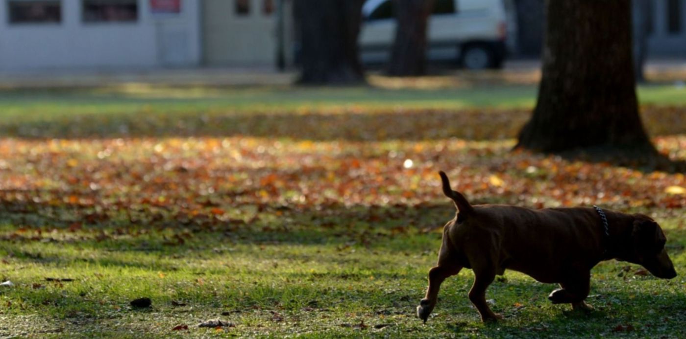 1555325800851.jpg?x=4&y=186&width=1489&height=744&rotate=0&scaleX=1&scaleY=1&ow=1500&oh=952&&cw=1920&ch=950