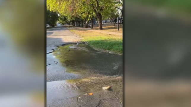 video: una enorme perdida deja sin agua a los vecinos de un barrio de la plata