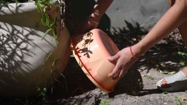 ante el aumento de casos de dengue, la municipalidad profundizo las medidas de prevencion