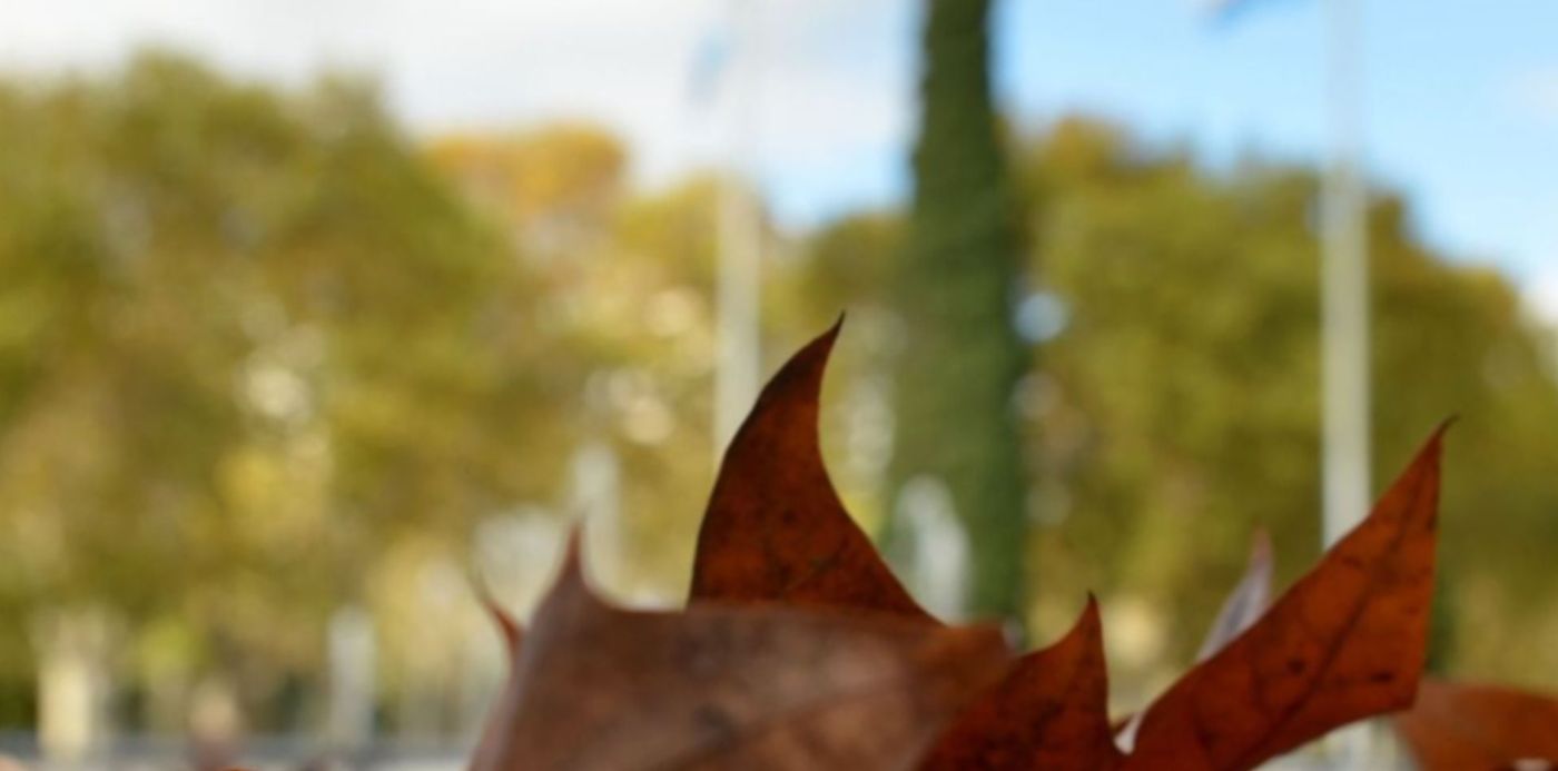 1557516589833.jpg?y=351&scaleX=1&ow=995&x=9&width=971&height=486&rotate=0&scaleY=1&oh=1500&&cw=1920&ch=950