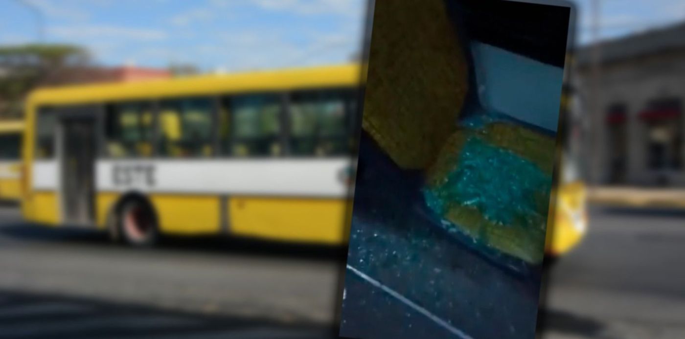 1658688464999.jpg?x=18&y=9&width=1479&height=739&rotate=0&scaleX=1&scaleY=1&ow=1500&oh=760&&cw=1920&ch=950