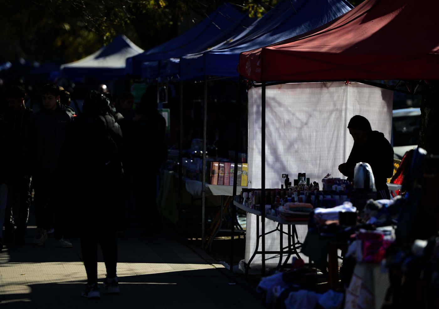 Manteros Vendedores ambulantes Parque Saavedra (4)