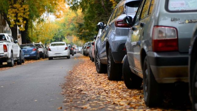 ¿como estara el clima este viernes y el fin de semana en la ciudad?