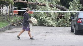 las impactantes fotos de los destrozos que dejo el temporal en las calles de la plata las impactantes fotos de los destrozos que dejo el temporal en las calles de la plata