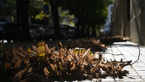 Viernes del Día del Trabajador en La Plata con chances de lluvias por la tarde Viernes del Día del Trabajador en La Plata con chances de lluvias por la tarde