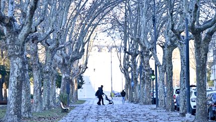 Con alerta amarillo por frío, La Plata se prepara para una semana helada y la posible vuelta de las lluvias
